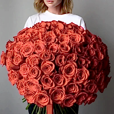 send 101 red roses in bodrum