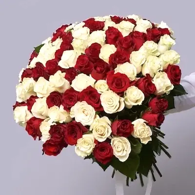 send 101 red and white roses in Antalya
