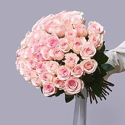 order stunning 51 pink roses in bodrum